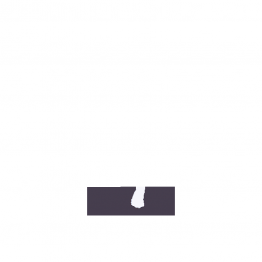 Світлодіоди в габаритні вогні. Підсвітку номера та салона DriveX Glow X1 S25(1) 12-24V 10W CAN 1200Lm 1156/P21W BA15S d-15mm к-т.