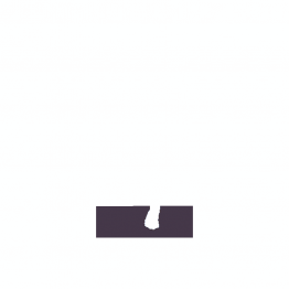 Світлодіоди в габаритні вогні. Підсвітку номера та салона DriveX Glow X1 T15 12-24V 10W CAN 1000Lm W16W d-10mm к-т.