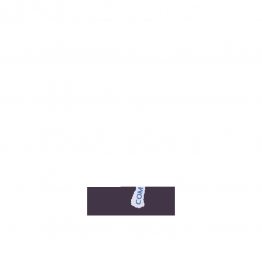 Світлодіоди в габаритні вогні. Підсвітку номера та салона DriveX Glow UL2 S25(1) 12V 15W CAN 2600Lm 1156/P21W BA15S d-15mm к-т.