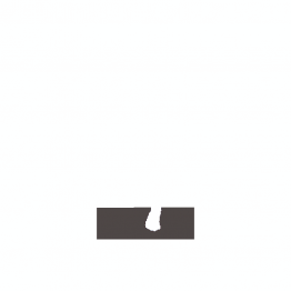 Світлодіоди в габаритні вогні. Підсвітку номера та салона DriveX Glow FAN1 T25(1) 9-48V 30W CAN 3000Lm 3156/P27W base-16mm USA к-т.